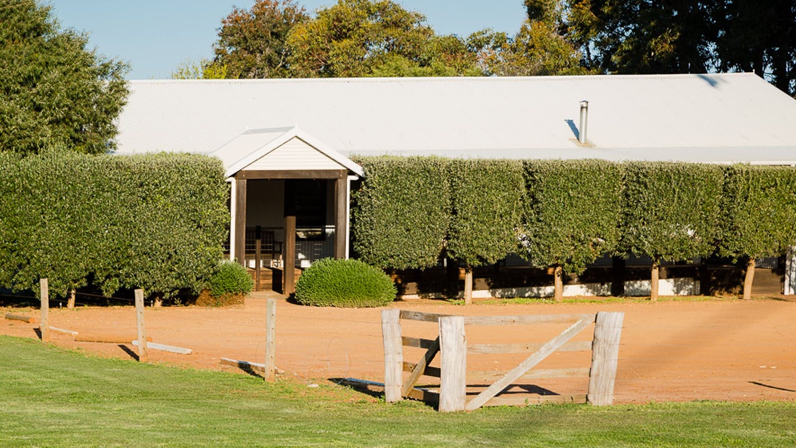 Vasse Virgin