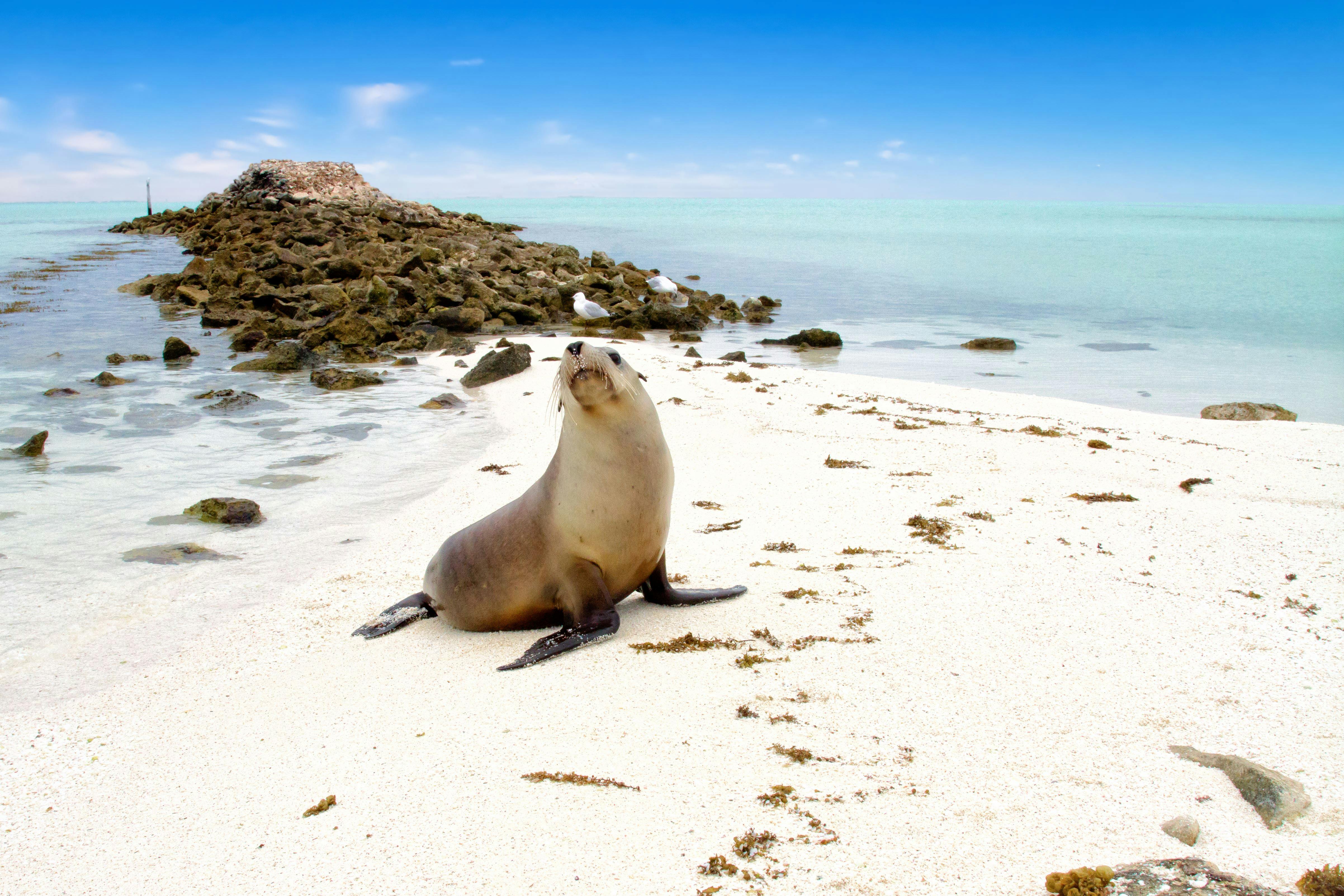 Abrolhos Islands.