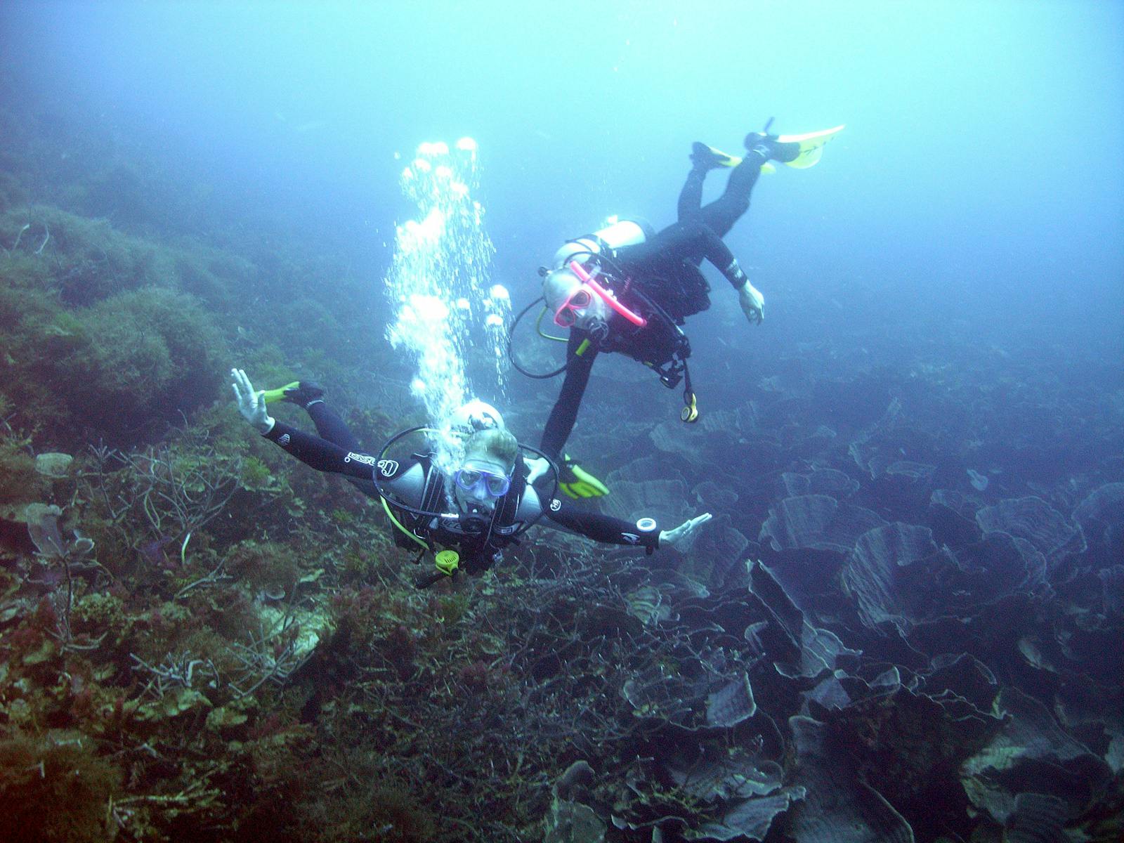 Abrolhos Islands.