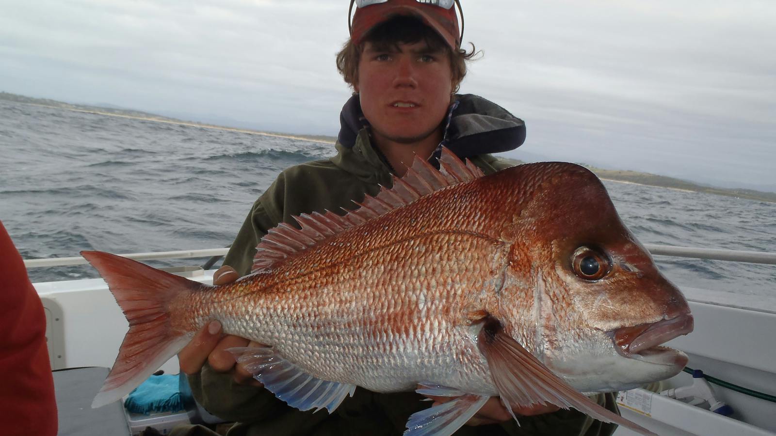 Narooma Tours and Charter Fish Narooma