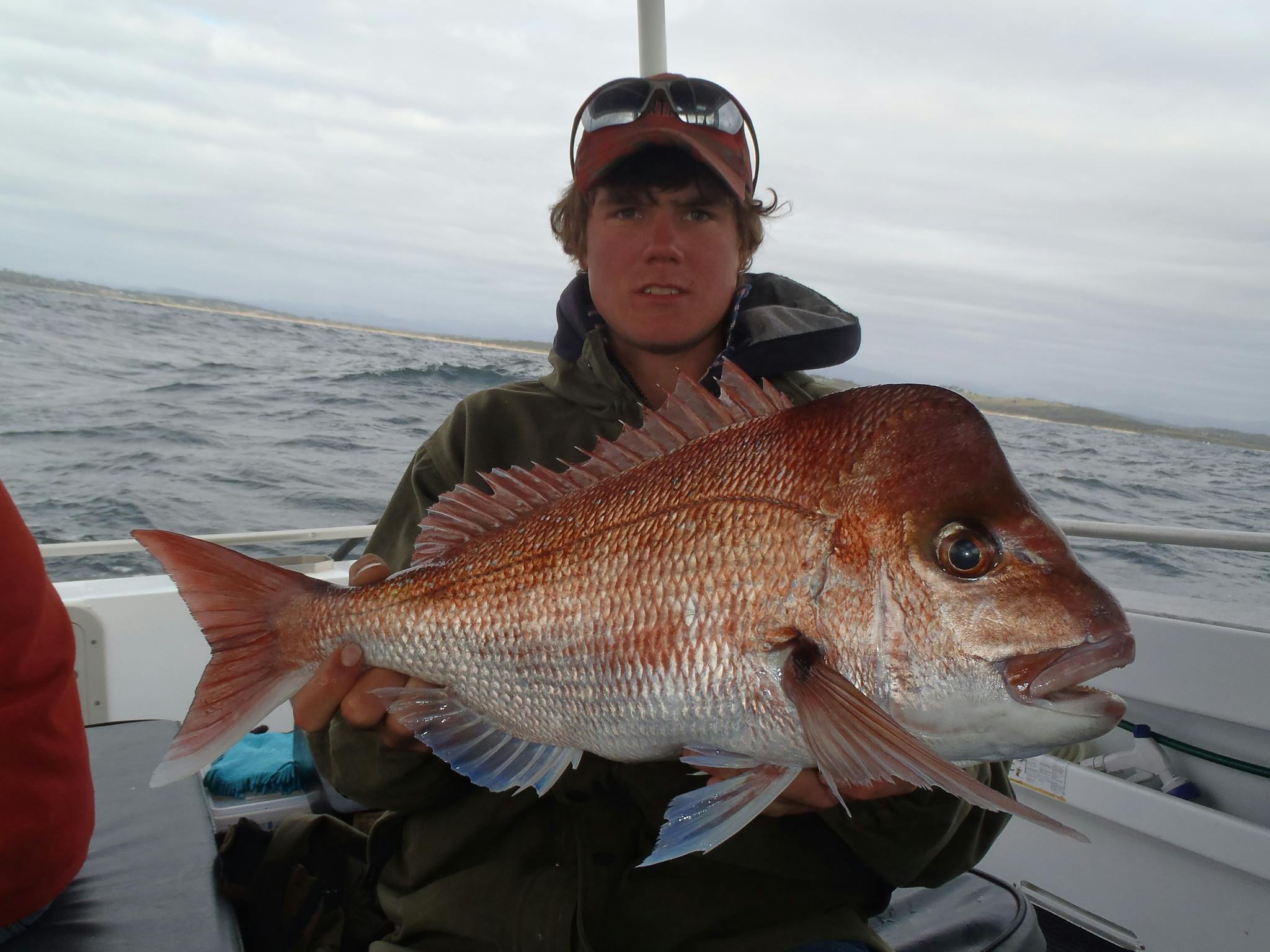 Half Day Fishing Charter | NSW Holidays & Accommodation, Things to Do ...