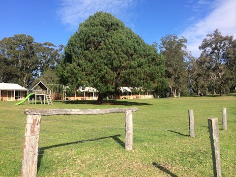 Mogendoura Farm