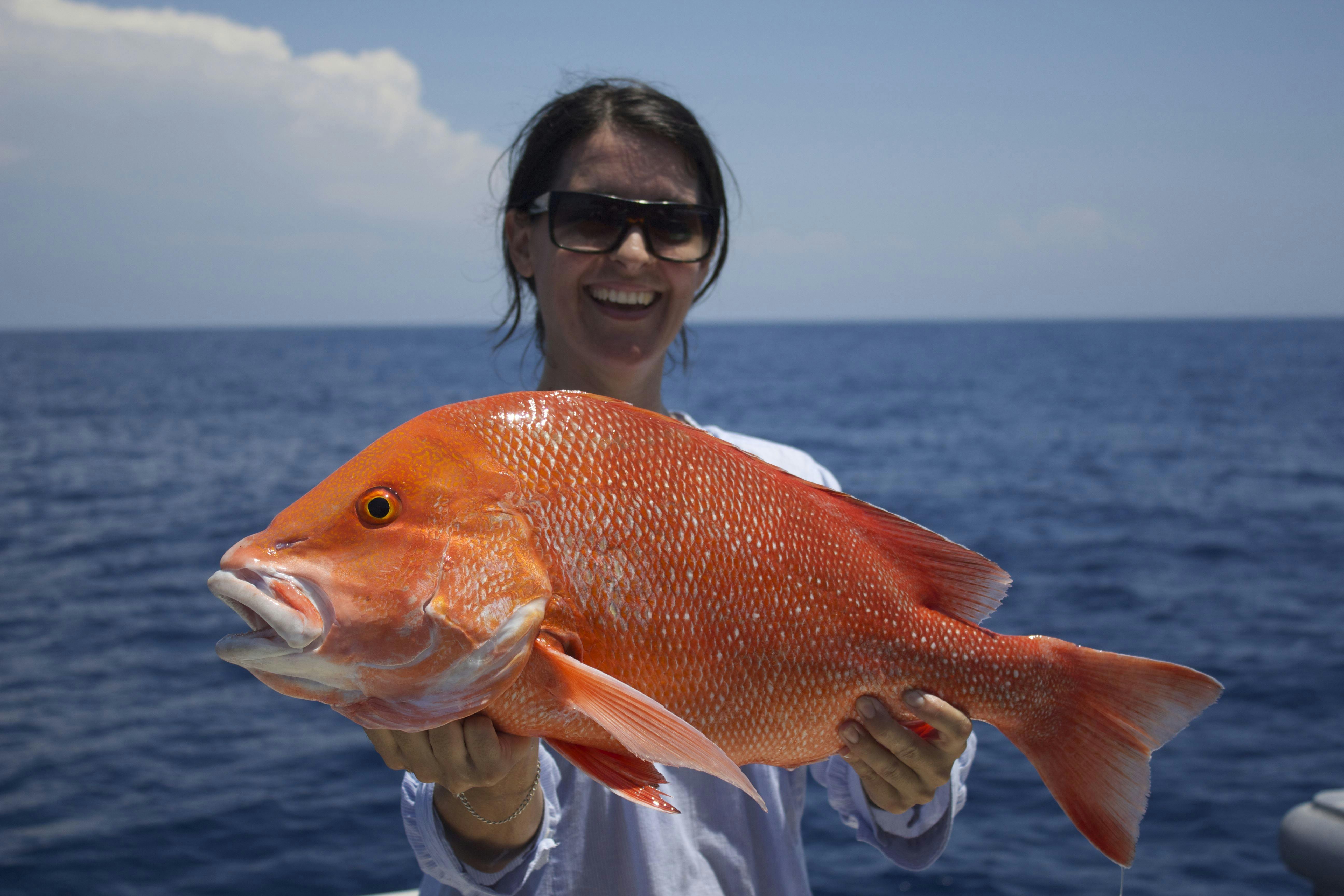 Full Day Reef Fishing for Red Emporer