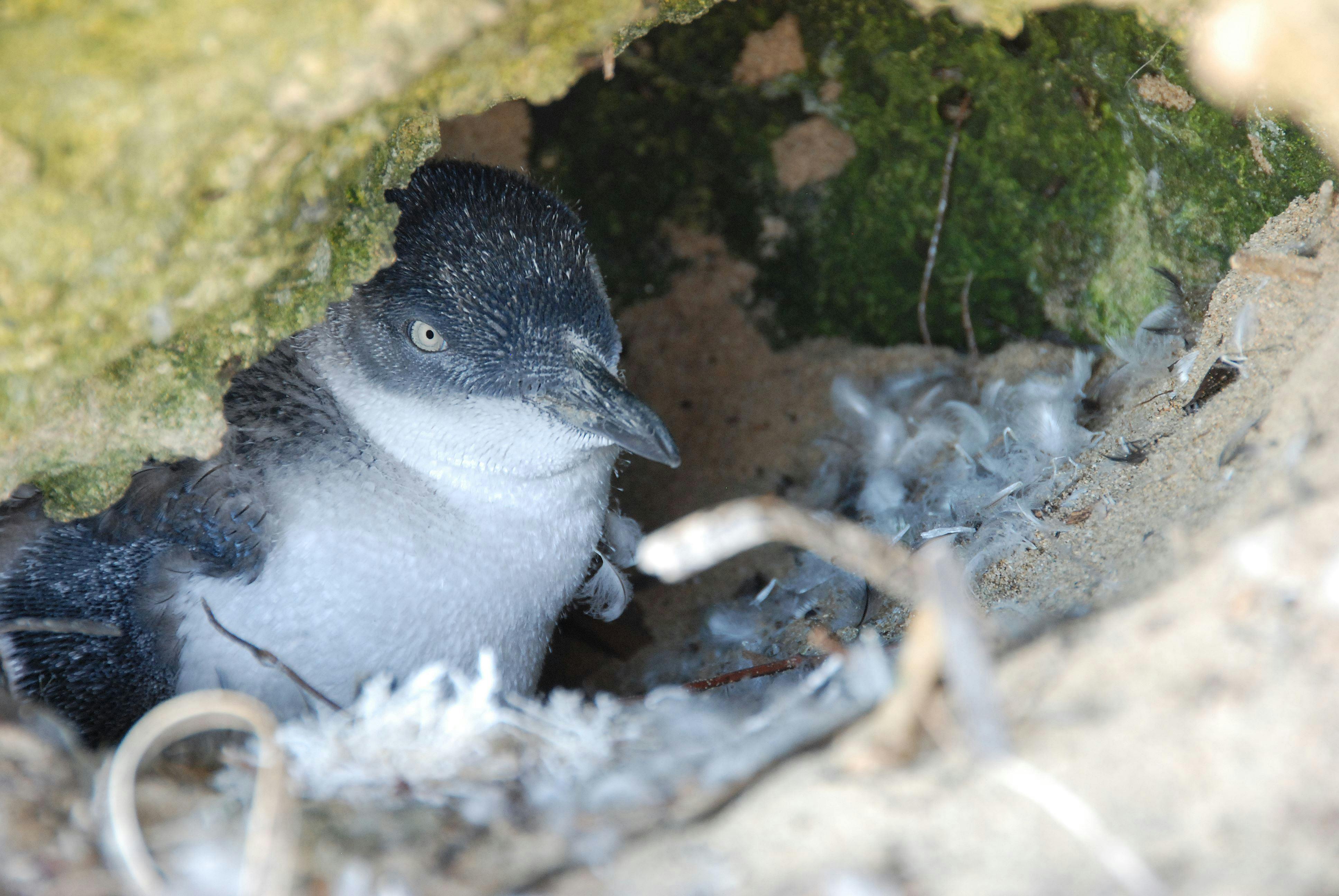 Rockingham Wild Encounters, Rockingham Beach, Western Australia