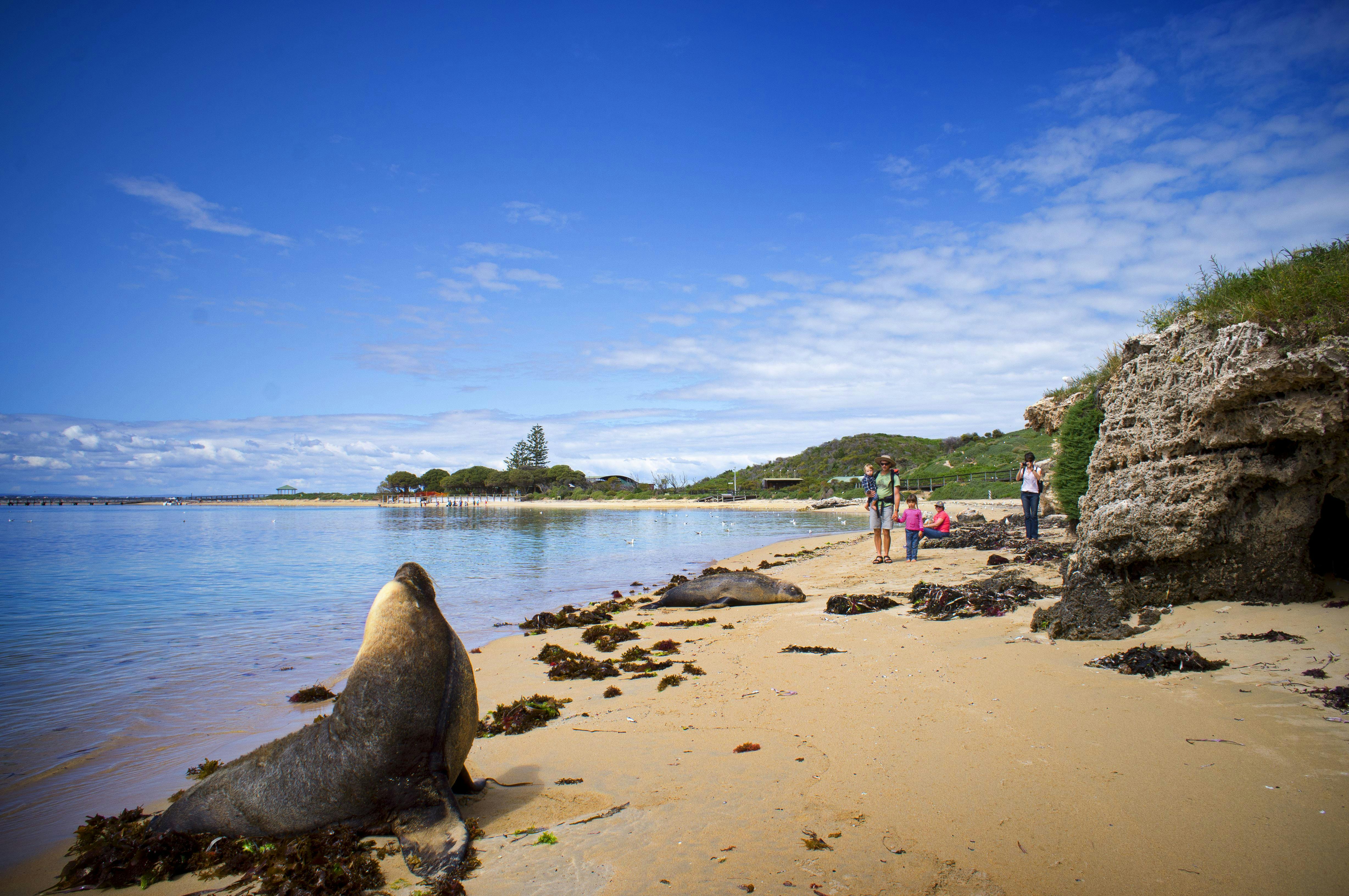 Rockingham Wild Encounters, Rockingham Beach, Western Australia