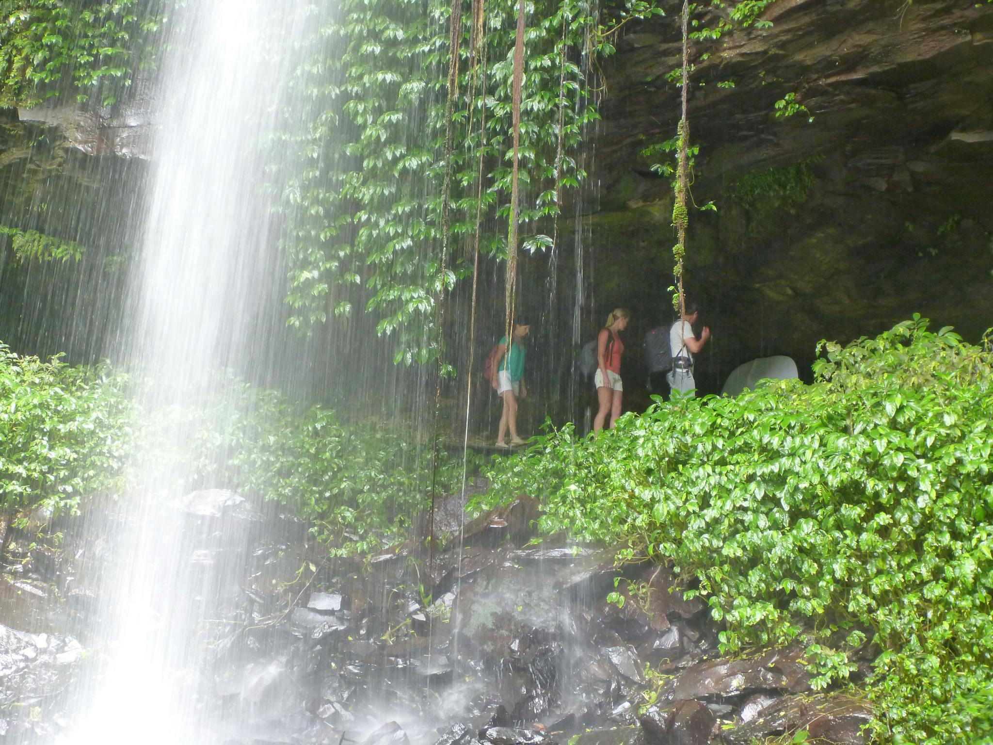 Dorrigo
