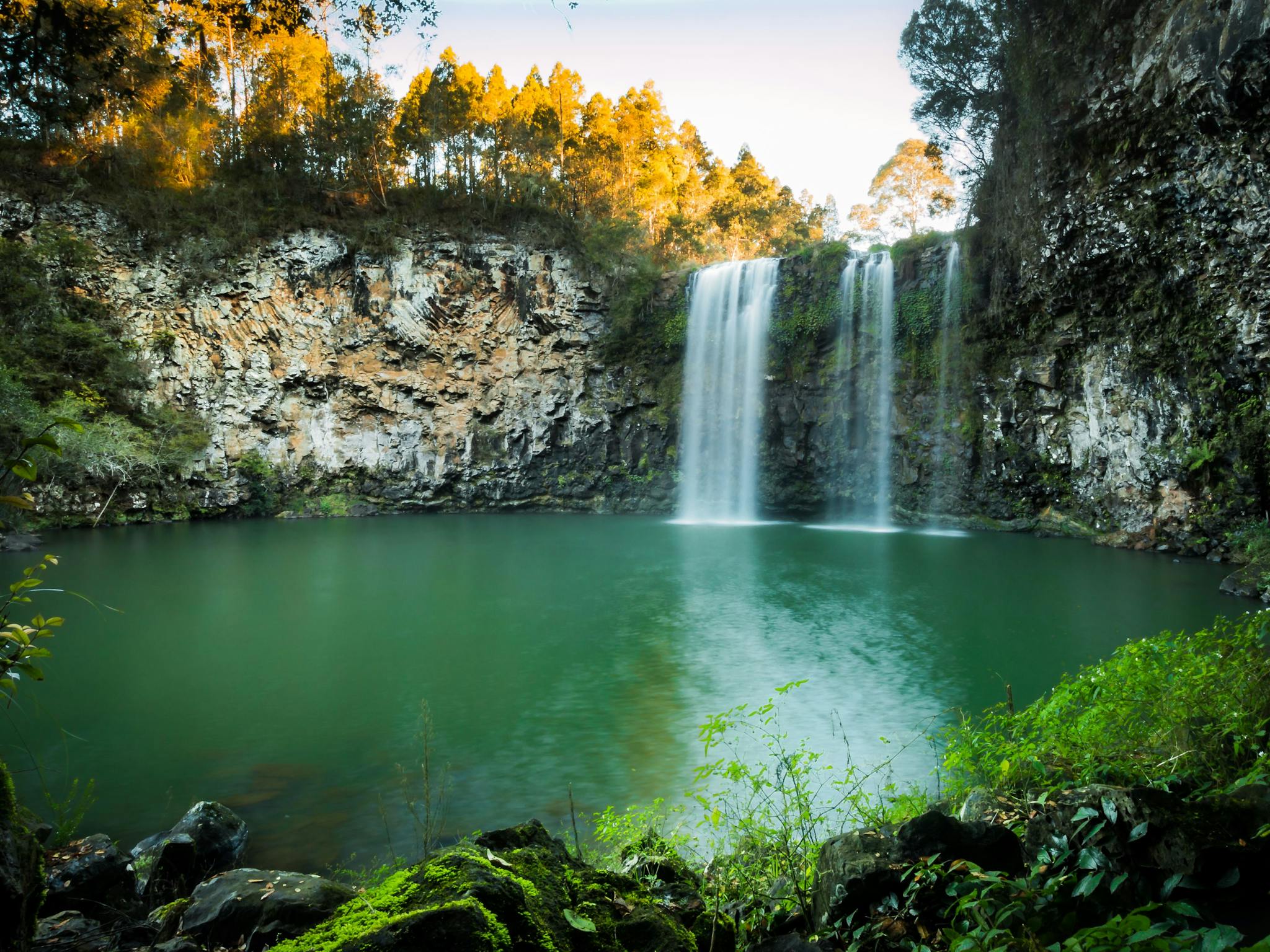 Dorrigo