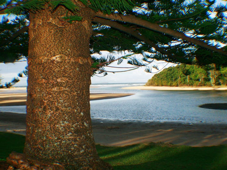 Moonee Beach