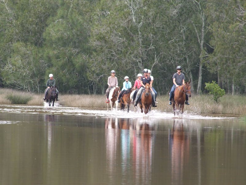 Horse Riding at Oaks Ranch and Country Club