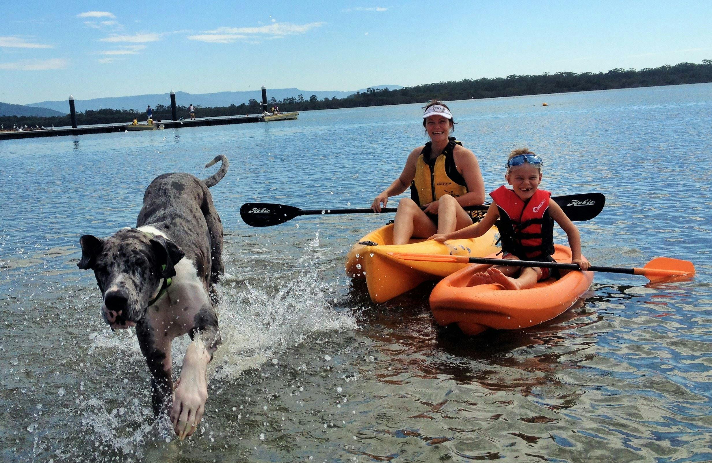 시드니와 캔버라 인근의 반려동물 친화적인 휴가