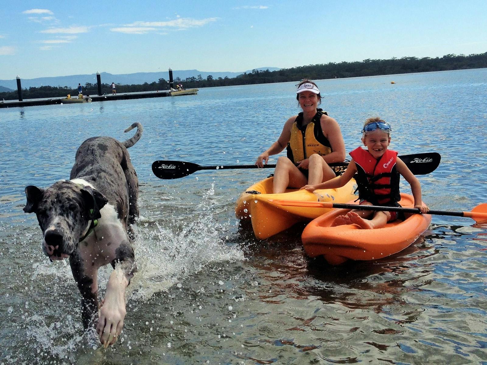 Pet Friendly in all accommodation all year round