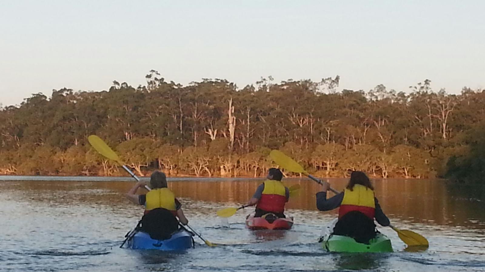 Sunset Kayak Eco-Tour