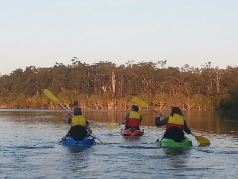 Sunset Kayak Eco-Tour