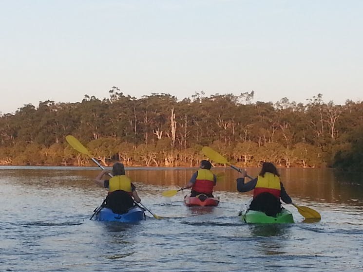 Sunset Kayak Eco-Tour 