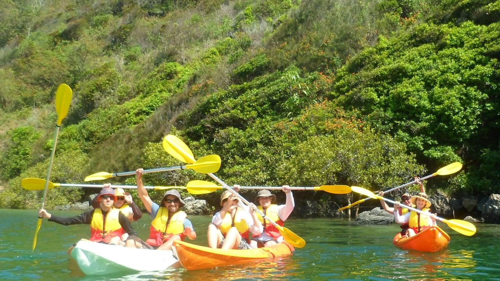 Sunset Tour at Boambee Creek with C-Change Adventures