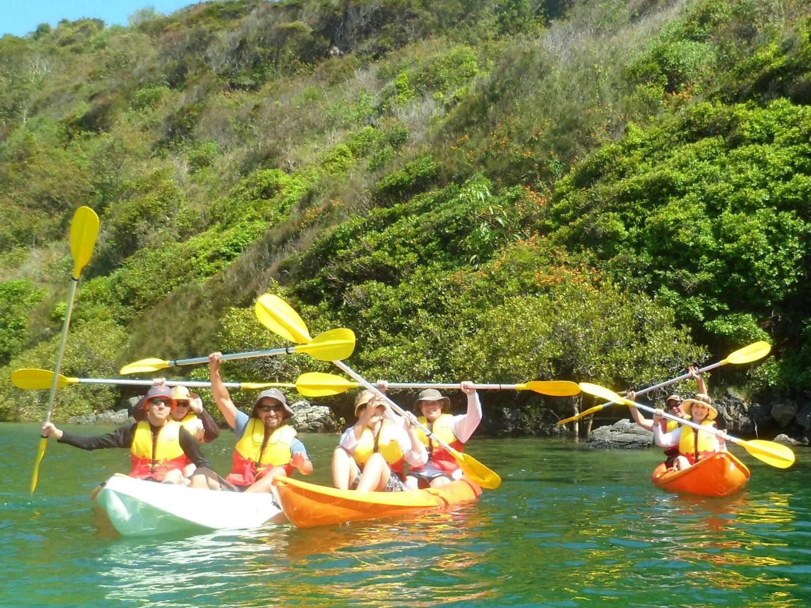 Sonnenuntergangstour am Boambee Creek mit C-Change Adventures