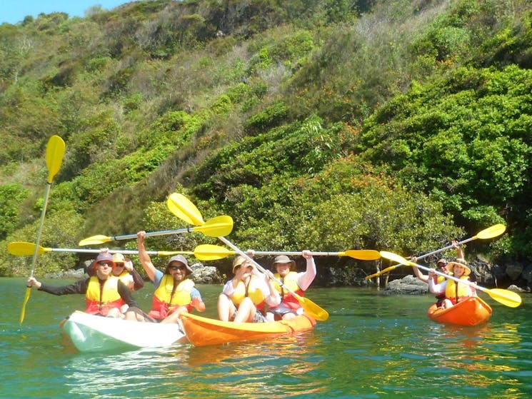 Sunset Tour at Boambee Creek with C-Change Adventures