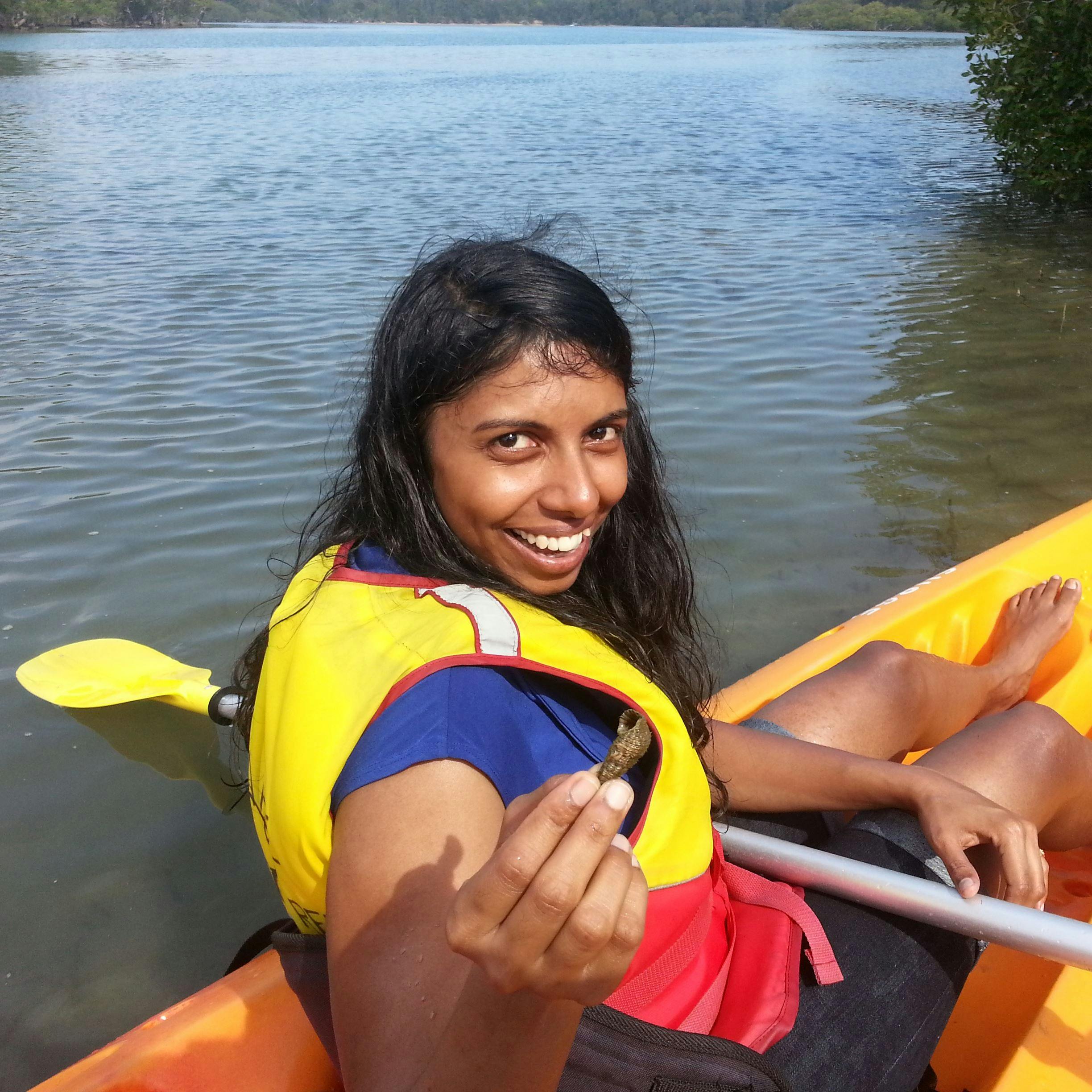Hermit Crabs on Boambee Creek with C-Change Adventures