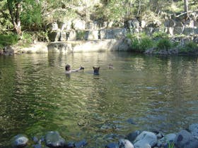 Swimming Hole on the pristine Allyn River