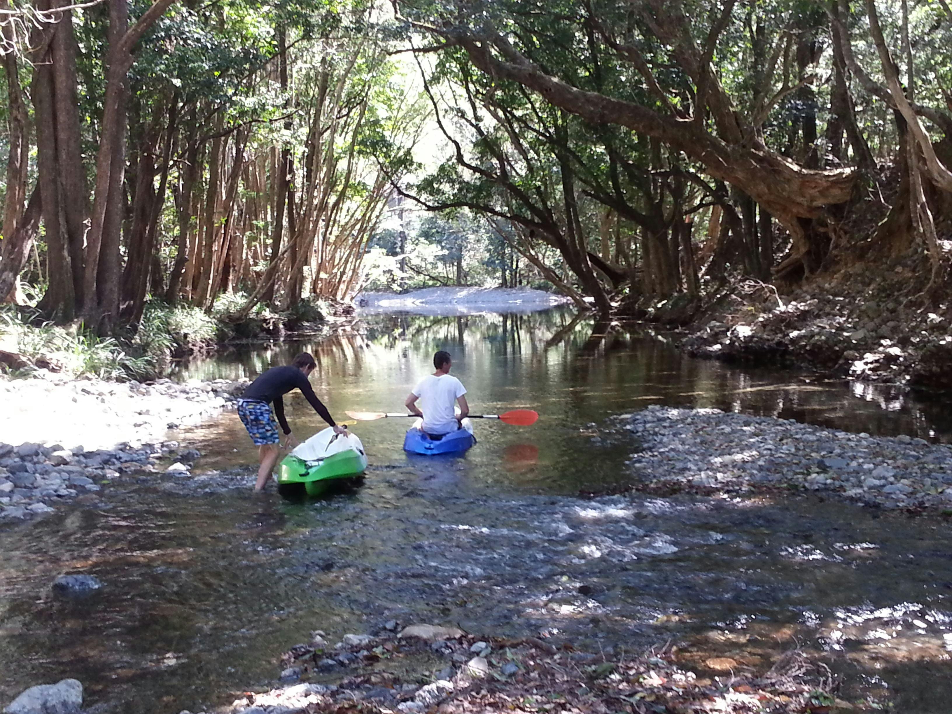 Tree-lined river banks on Never Never Creek with C-Change Adventures
