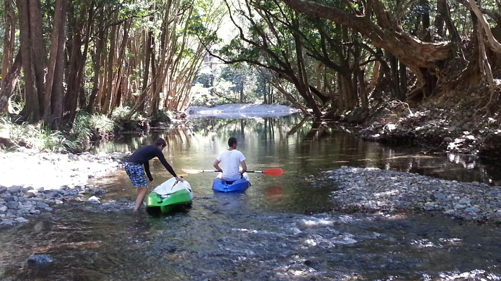 Tree-lined river banks on Never Never Creek with C-Change Adventures