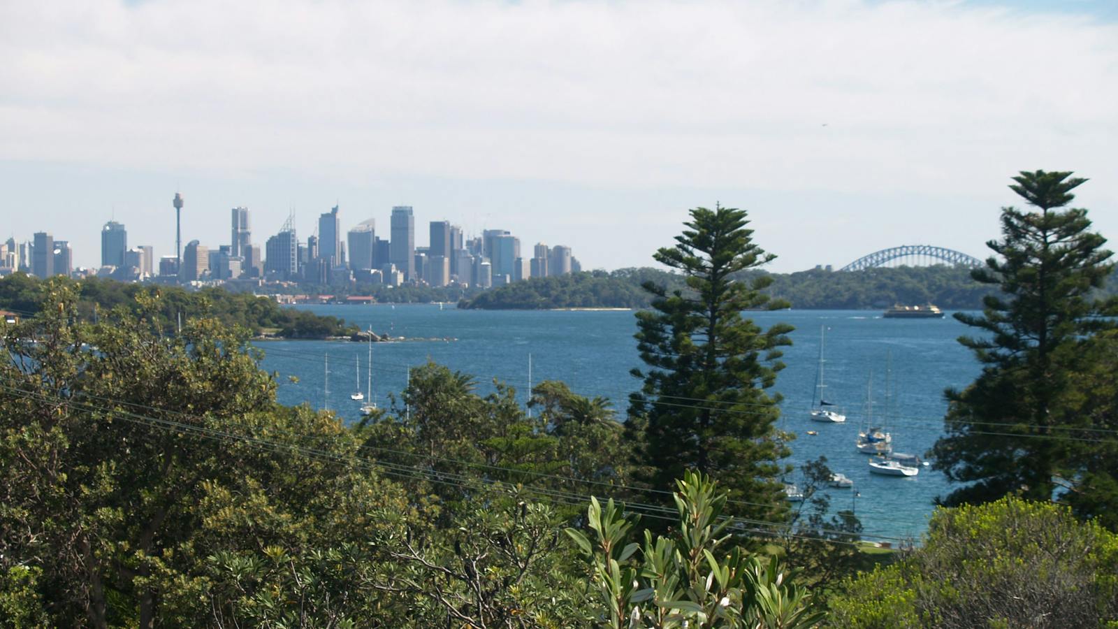 Sydney harbour views and photo opportunities