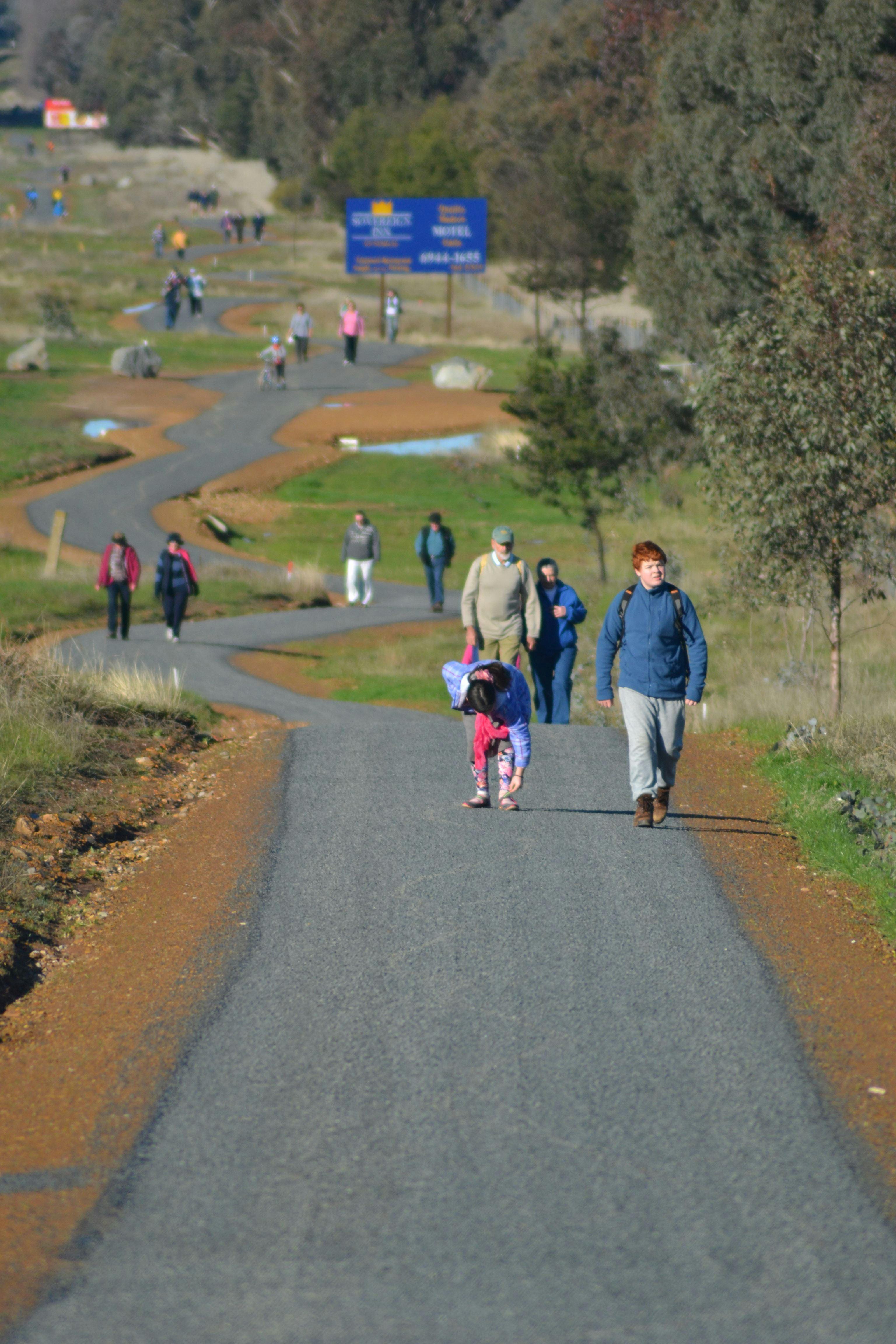 塔克箱休閒步道上的狗
