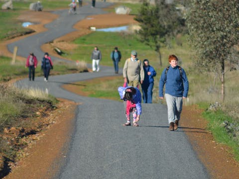 Dog on the Tucker Box Recreational Trail