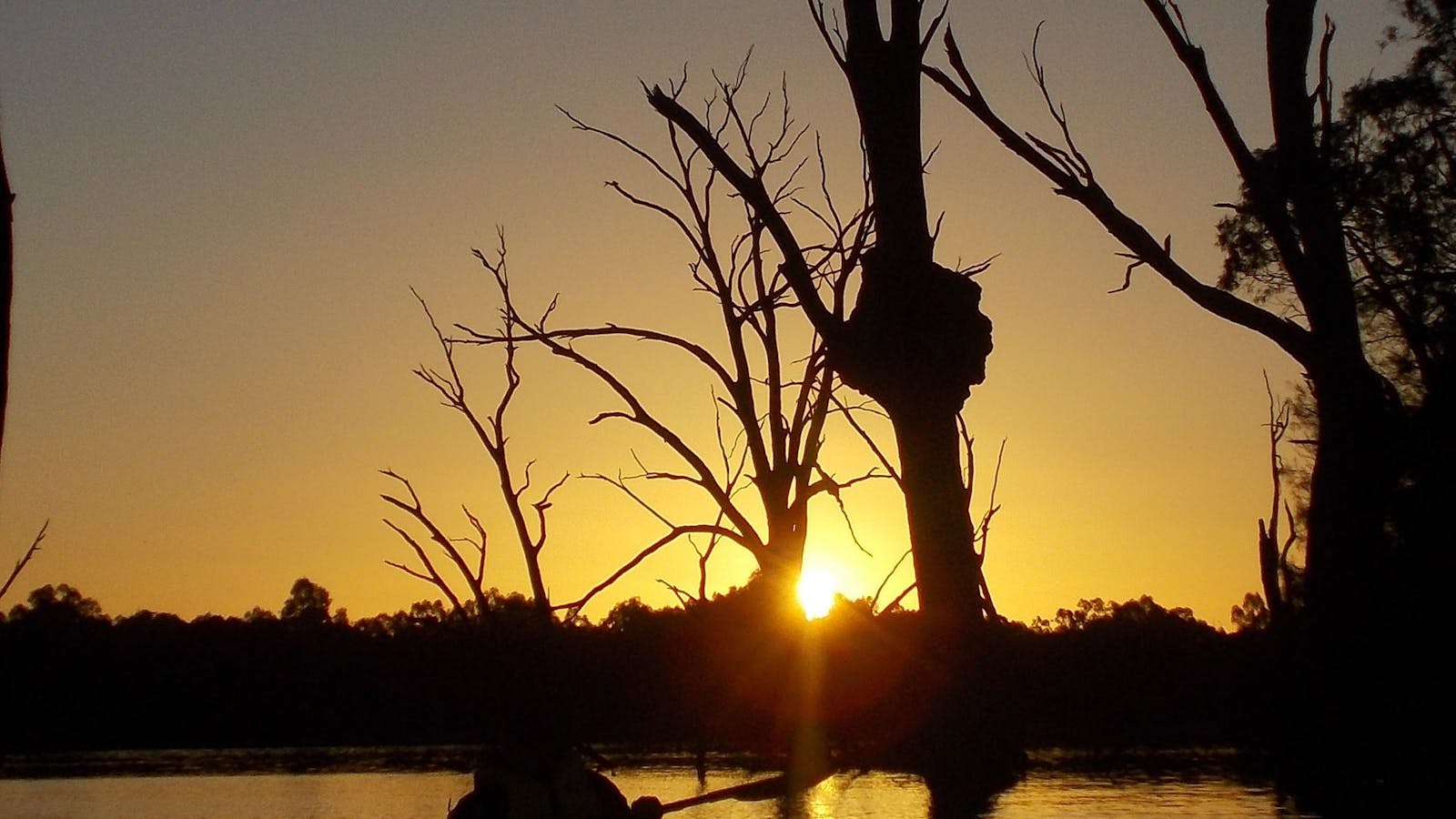 Moontongue Eco Adventures