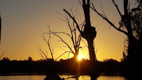 Moontongue Eco Adventures