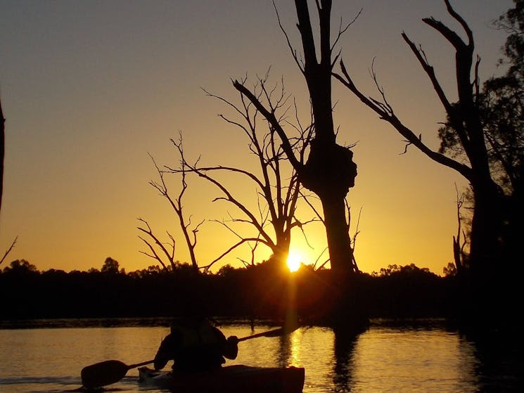 Moontongue Eco Adventures