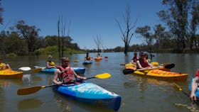 Moontongue Eco Adventures