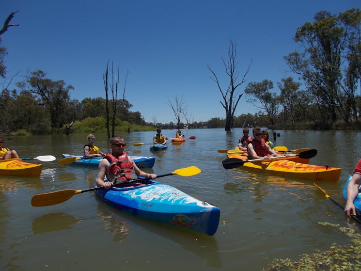 Moontongue Eco Adventures