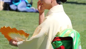 Sakura Matsuri  - Cherry Blossom Festival