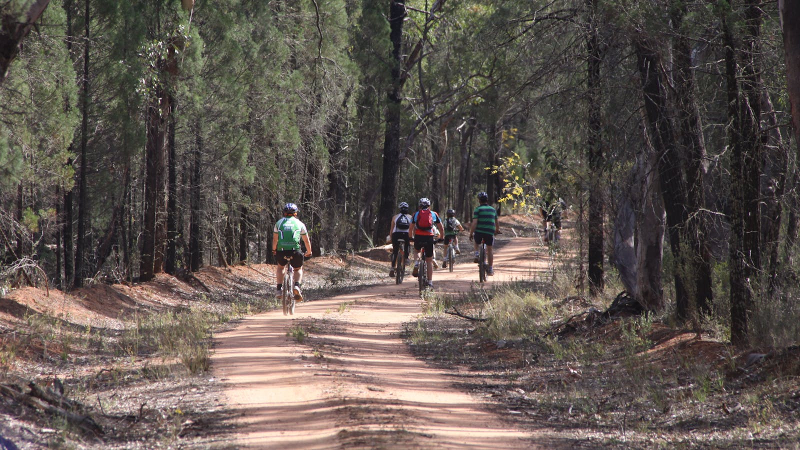 Pilliga Forest