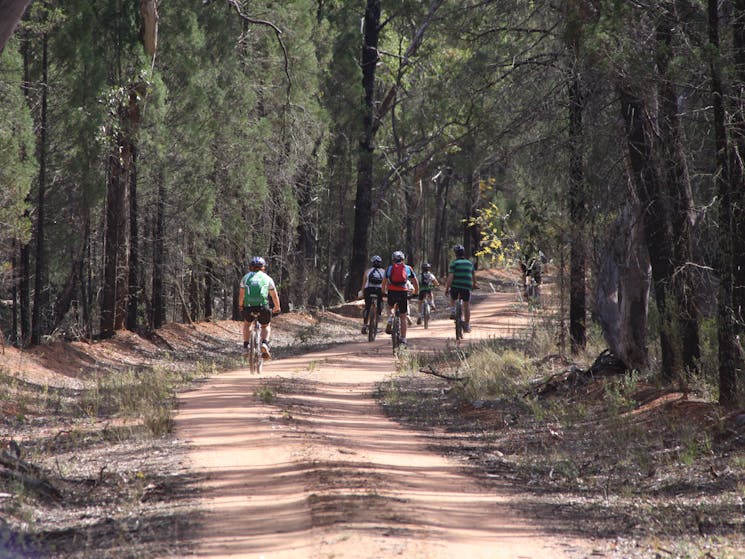 'Tour de Gorge' Mountain Bike Ride