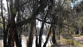 MIA Forest Drive Narrandera