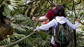 Auswalk Walking Holidays