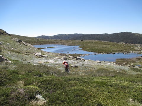 Snowy Mountains and Mount Kosciuszko -7 Day- Self-Guided