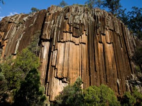 Narrabri image