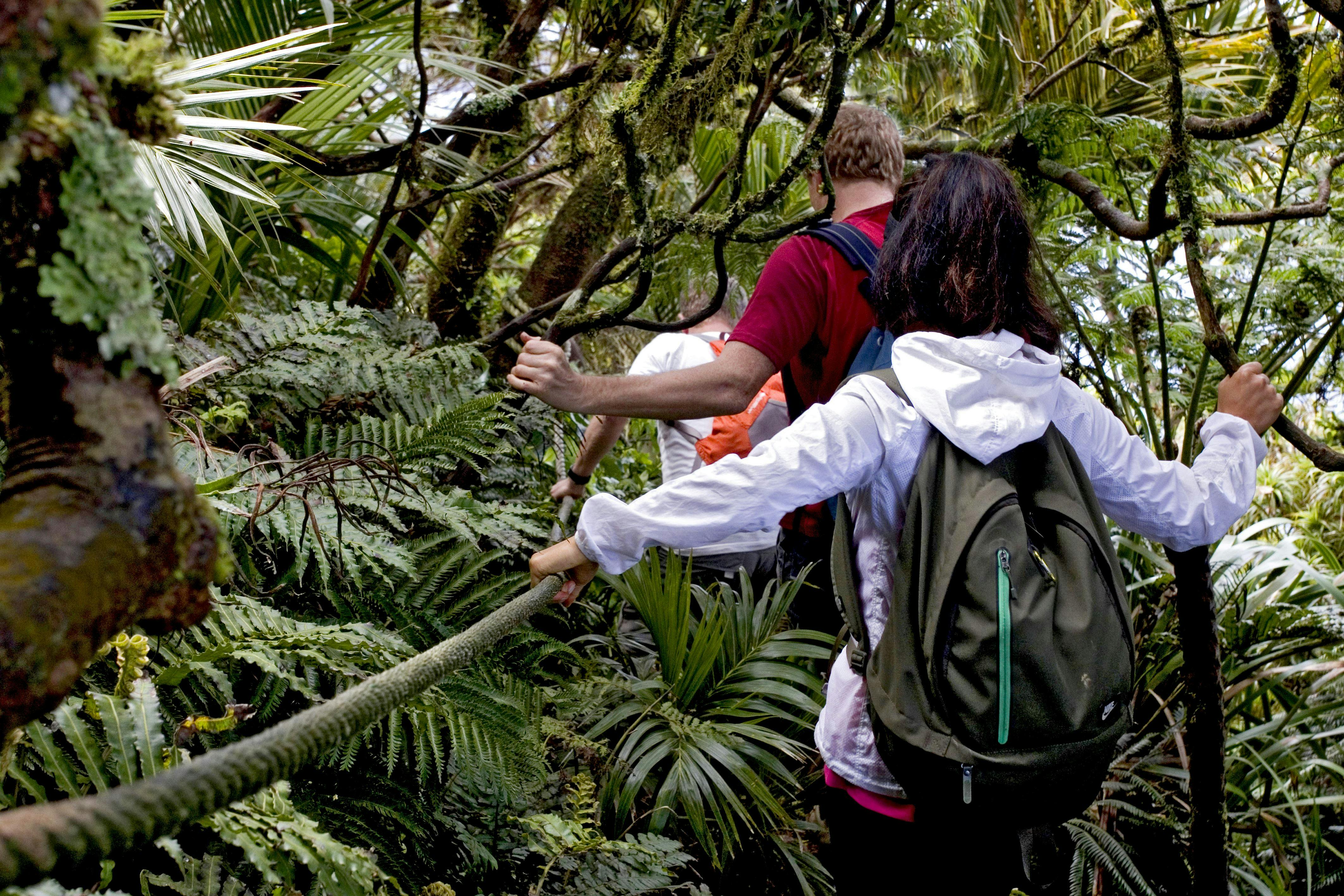 奥斯沃克步行度假