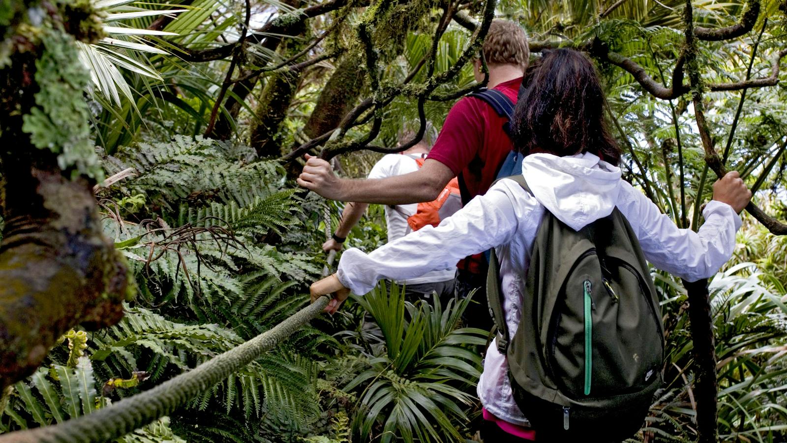 Auswalk Walking Holidays