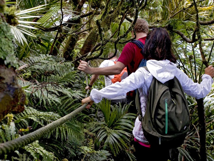 Auswalk Walking Holidays