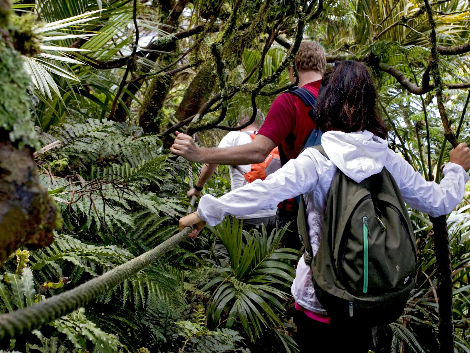 奥斯沃克步行度假