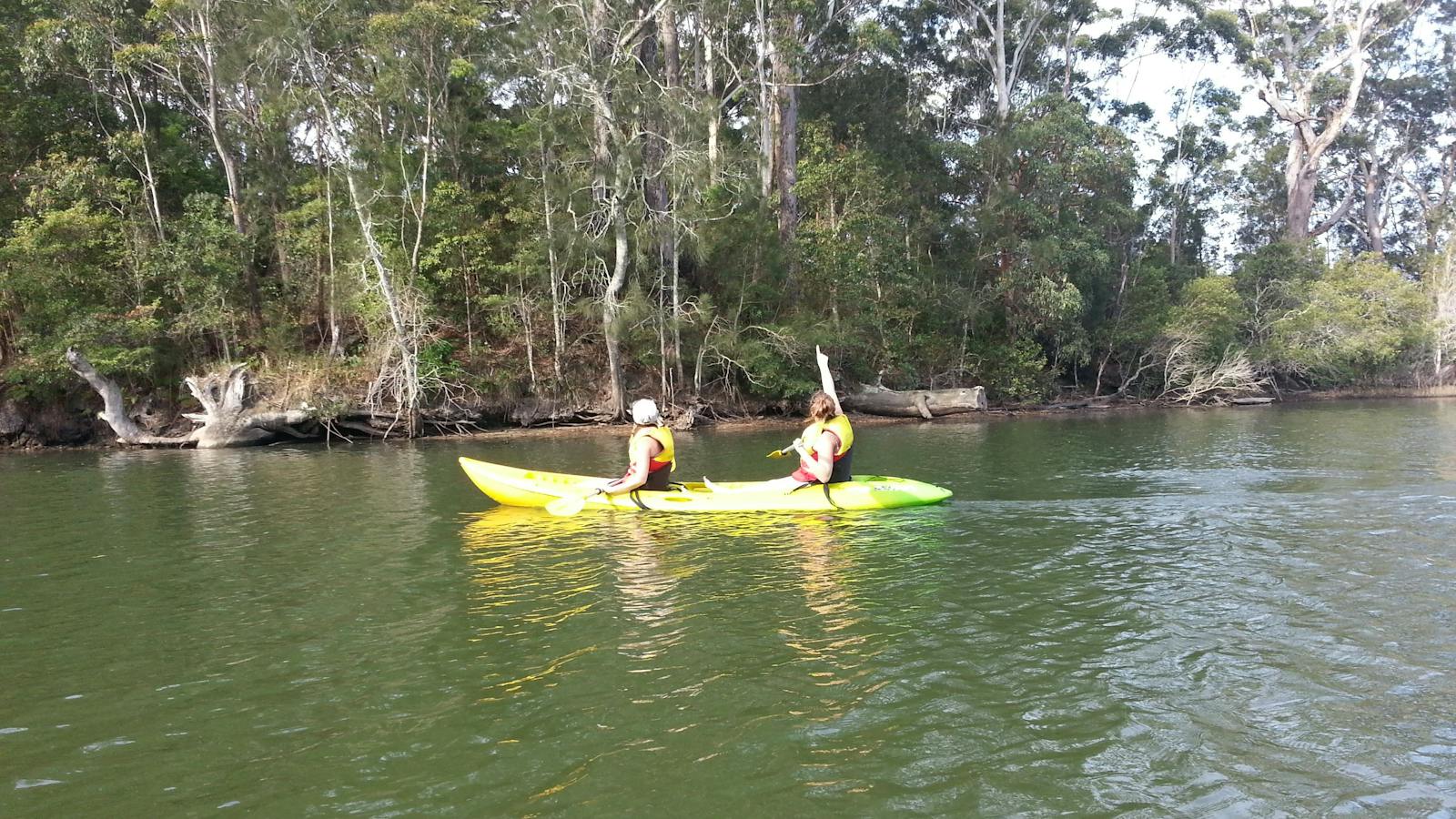 Kayak Hire
