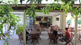 Medowie Macadamias