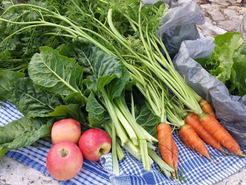 Demonstration Gardens - Vegetable Swap and Buy