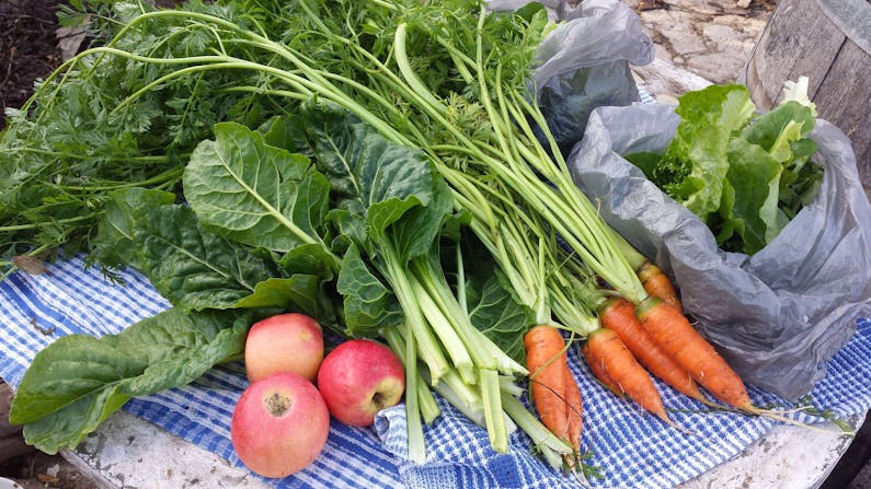 Image of the event 'Demonstration Gardens - Vegetable Swap or Buy'