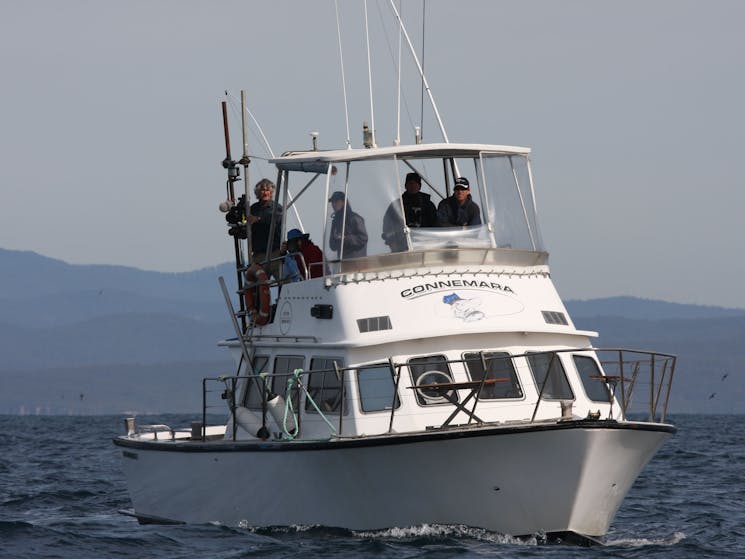 Freedom Charters