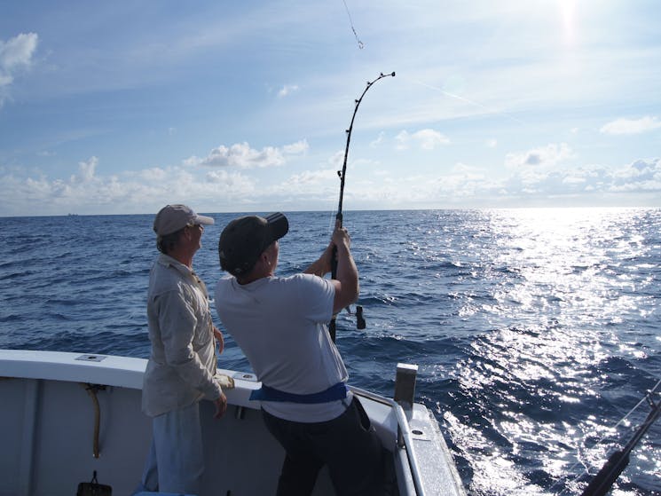 Freedom Charters